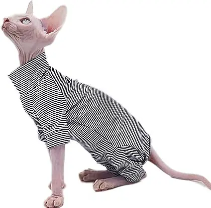 Snugly Sphynx: The Ultimate Comfort Cat Clothes