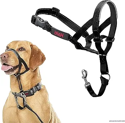 Harness the Pull: HALTI Headcollar Size 3 Review