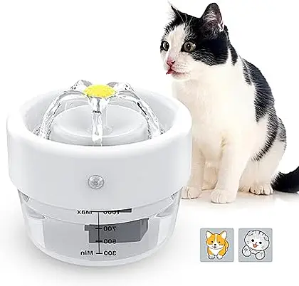 HZK Motion Sensor Cat Water Fountain Review