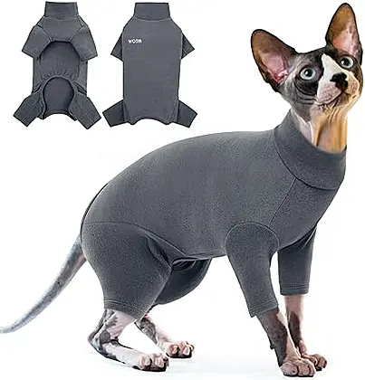 Cosy Sphynx Cat Pullover: A Winter Essential