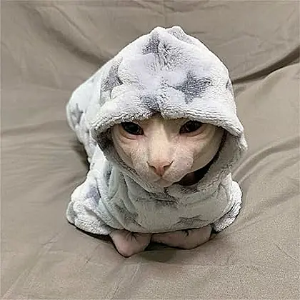 Cozy & Comfy: Clothes for Hairless Cats