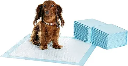 Ultimate Amazon Basics Puppy Training Pads Review