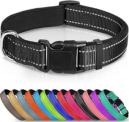 Joytale Reflective & Padded Dog Collar