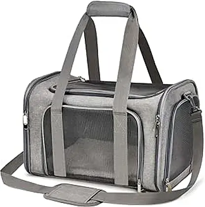 The Ultimate Qlfyuu Pet Carrier Review