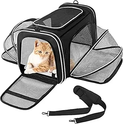 Expandable Comfort: The Ultimate Cat Carrier