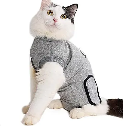 BT Bear Pet Recovery Suit: A Cozy Solution for Feline Healing