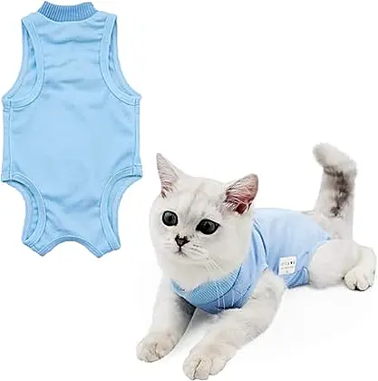 Blue Mender: The Cat Recovery Onesie