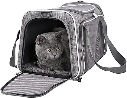 Petisfam Top Load Soft Cat Carrier Review