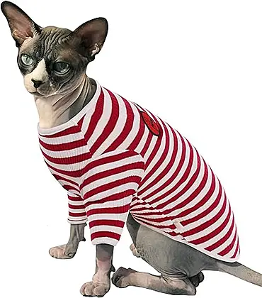 Cute and Comfy Sphynx Cat Striped Jumper