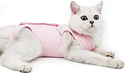 The Ultimate Cat Recovery Suit: Your Pet's Comfort Post-Surgery