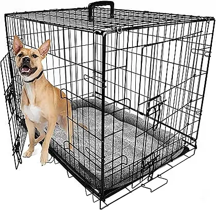 Foldable Medium Dog Crate with Bed