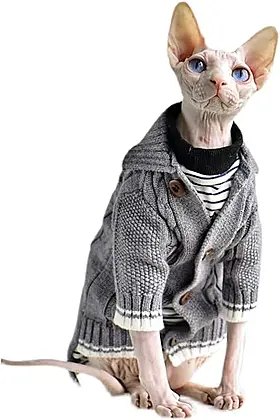 Snug as a Bug: Sphynx Cat Winter Coat