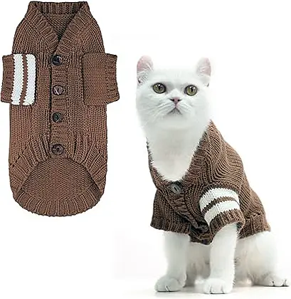 EXPAWLORER Cat Sweater: A Snug Fit for Chilly Weather