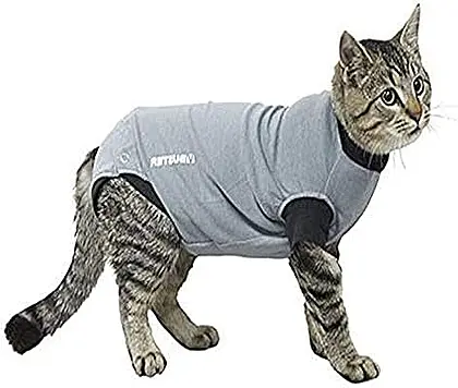 Buster Body Suit Easygo: The Ultimate Comfort for Kittens