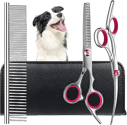 Kaket Dog Grooming Scissors: Pawsitively Sharp