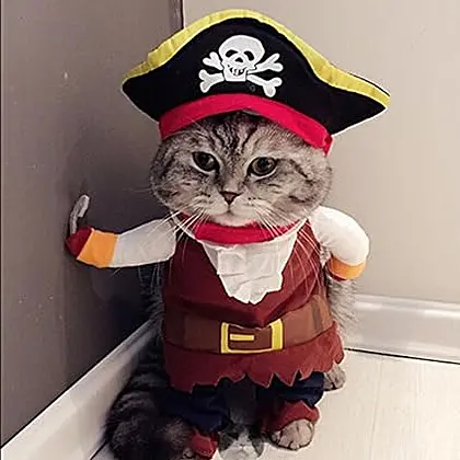 Pirate Paws: Idepet Caribbean Pirate Cat Costume