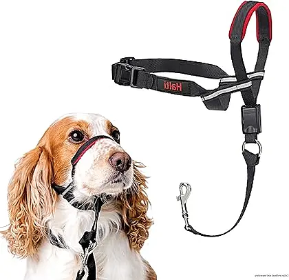 HALTI Optifit Headcollar: A Kinder Way to Lead