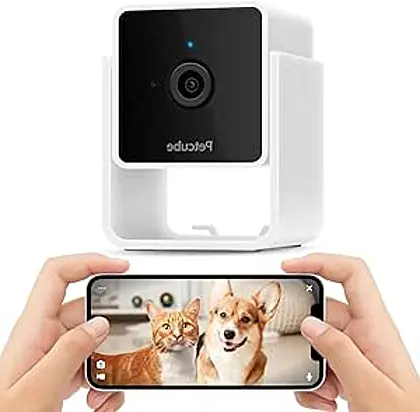 Petcube Cam: Your Eye on Furry Friends