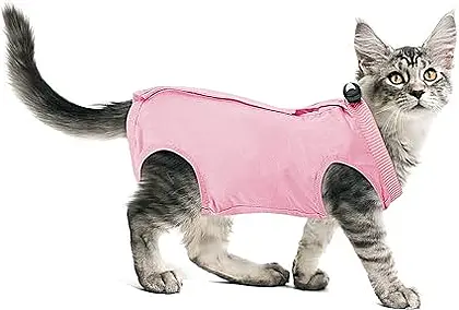 Cobee Cat Recovery Suit: A Gentle Embrace for Healing Kittens