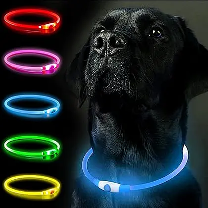 SerDa-Run Light-up Dog Collar Review