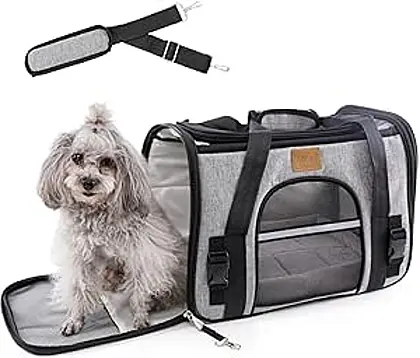 Paws & Claws Portable Pet Carrier