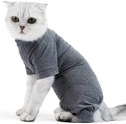 Purr-fecto Post-Op Cat Attire