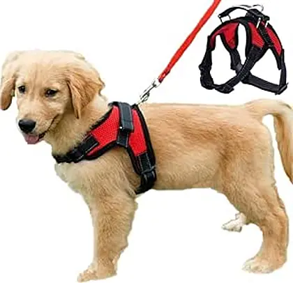 Breathable Comfort Dog Harness