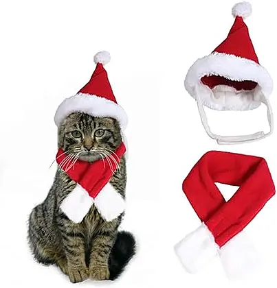 Festive Feline Fun with Edealing Santa Suit