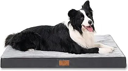 Jaspuriea Deluxe Orthopedic Dog Bed