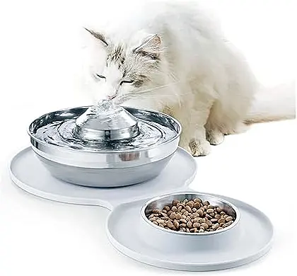 Stellar Pet Water Dispenser: 2-in-1 Fountain & Food Bowl