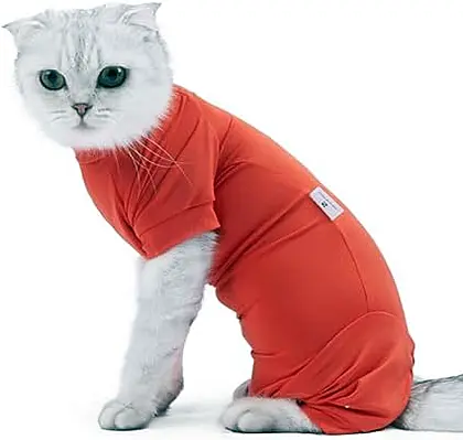 Charming Cat Couture: Post-Op and Anti-Hair Loss Clothes