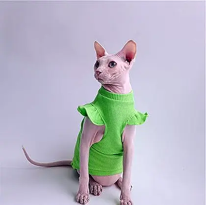 Chic Summer Vest for Sphinx Cats