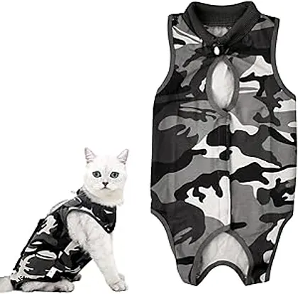 Stealthy Feline Recovery Suit