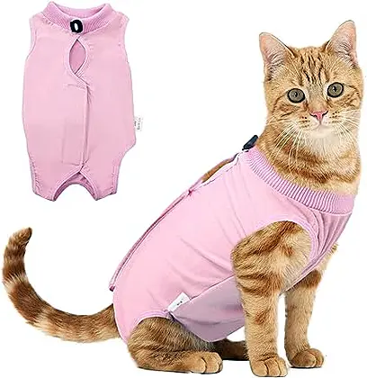 Voarge Recovery Suit for Felines: A Comforting Embrace Post-Surgery