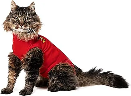 MPS Cat Recovery Suit: A Softer Alternative