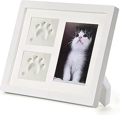 Forever Paws: Cat Picture Frame & Paw Print Keepsake Kit