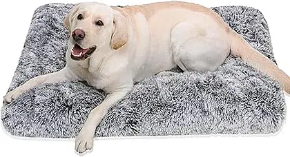 Jaspuriea Deluxe Plush Large Dog Bed Review