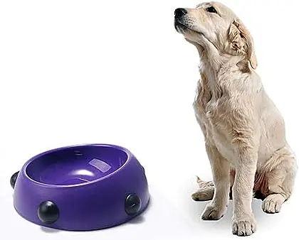 Fashionable and Durable Pet Bowl for Your Furry Friends