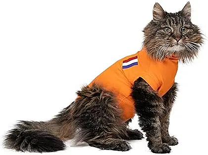 Orange Delight: The MPS Medical Pet Shirt for Cats