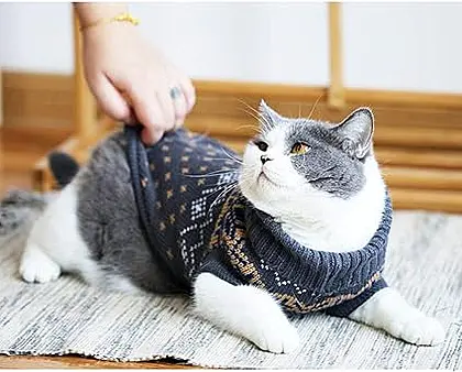 Evursua Knit Sweater: The Cozy Choice for Cool Cats and Pups