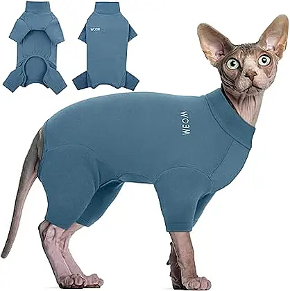 Hjyokuso: A Comfort Haven for Hairless Cats