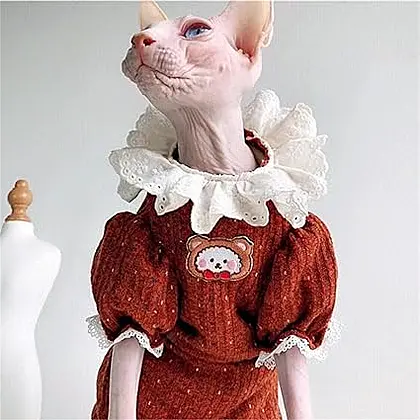 Warm and Stylish Sphinx Cat Winter Cardigan