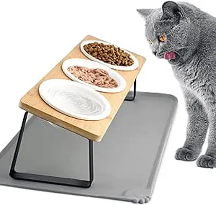 Otoomenz Elevated Cat Feeding Station with Ceramic Bowls