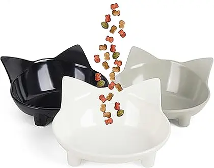 Cotill Cat Bowls: The Cute & Convenient Feeding Solution