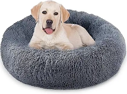 The Whome Donut Dog Bed: A Cuddly Companion for Your Canine