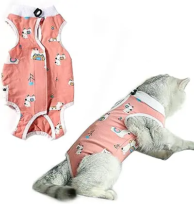 Alpaca Pattern Cat Recovery Suit Review