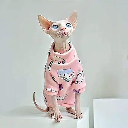 Furry Fashionista: TENGTUD Hairless Cat Clothes in Pink