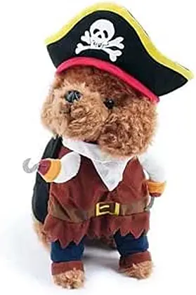 Pirate Pooch Paradise: Idepet's Pet Pirate Costume