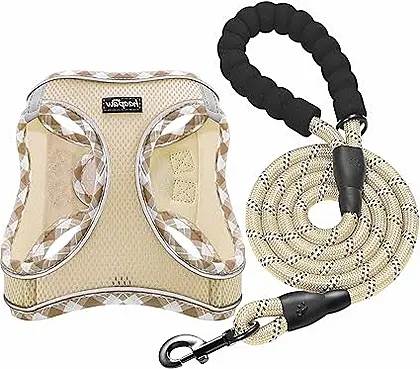 haapaw Adjustable Reflective Dog Harness and Lead Set