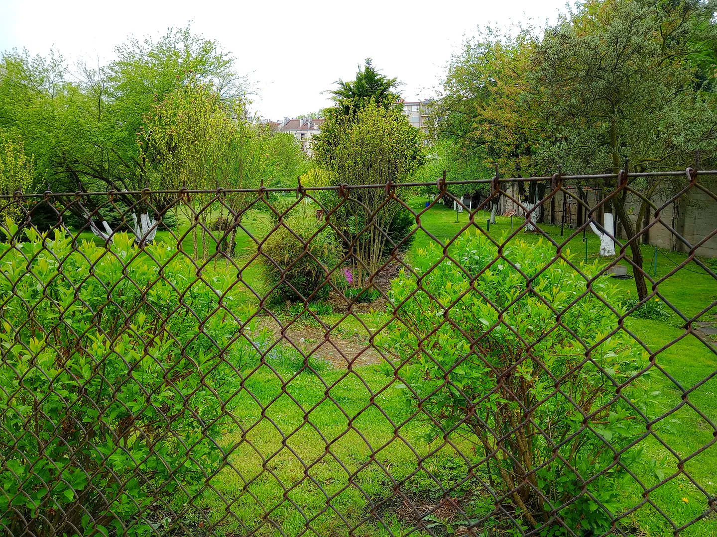 Gardens of the Bernardine Monastery